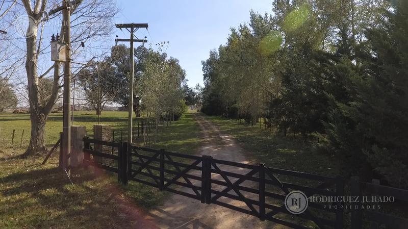 #1369125 | Venta | Campo / Chacra | San Antonio De Areco (Rodriguez Jurado Propiedades)