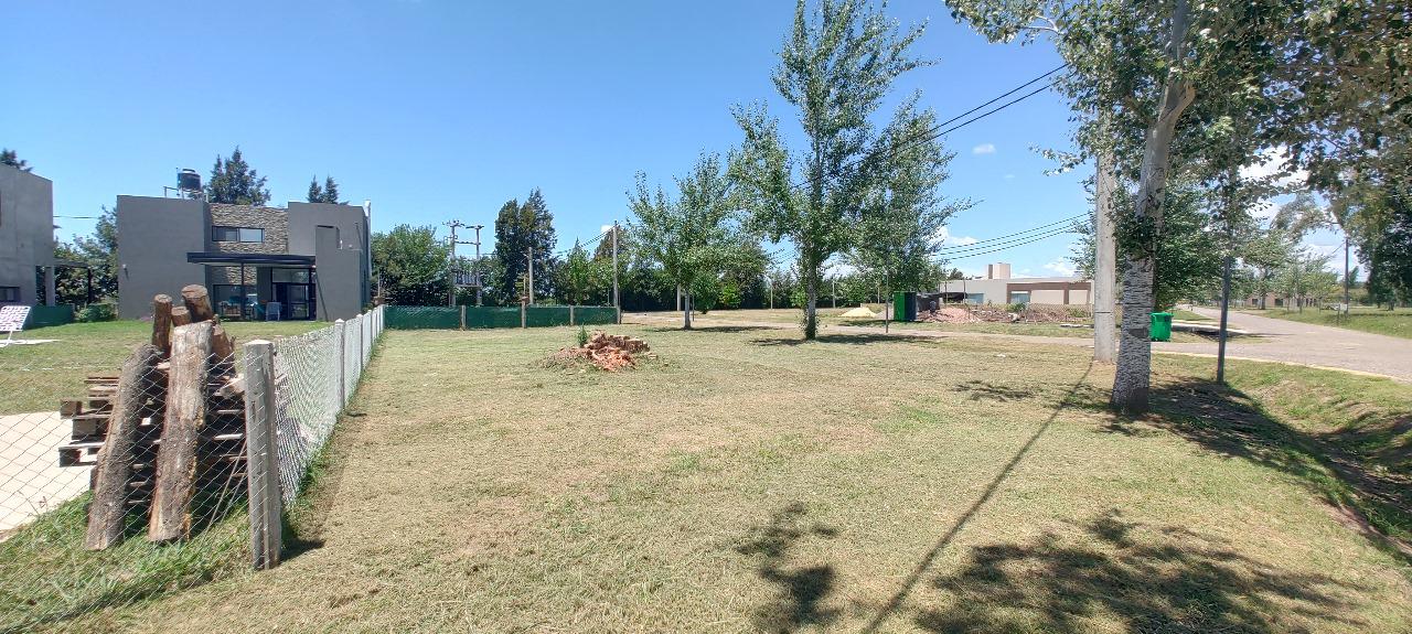 #5136760 | Venta | Lote | Pinares (GRUPO CARDANO)