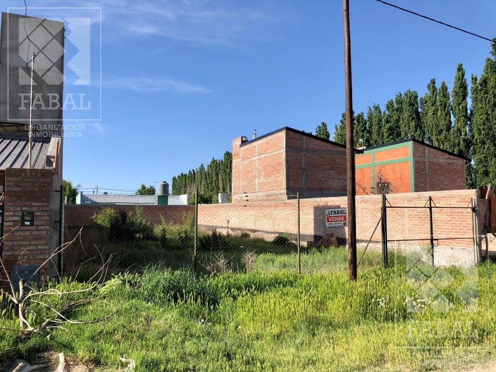 #774649 | Venta | Lote | Plottier (Fabal Inmobiliaria)