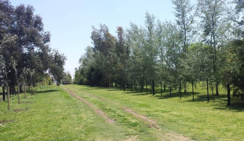 #4708557 | Venta | Campo / Chacra | San Antonio De Areco (Capilla García Fernandez y Asoc.)