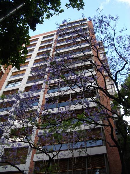 #5031543 | Rental | Apartment | Belgrano Barrancas (American Propiedades)