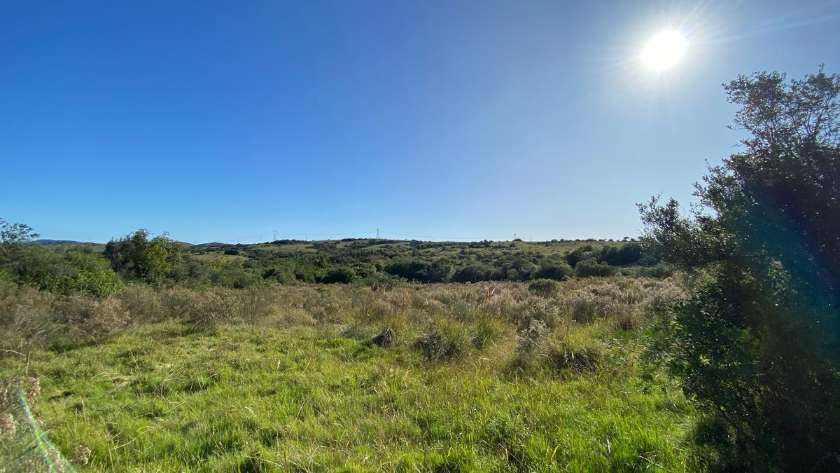 #1529017 | Venta | Campo / Chacra | Aigua (Vizcaya )