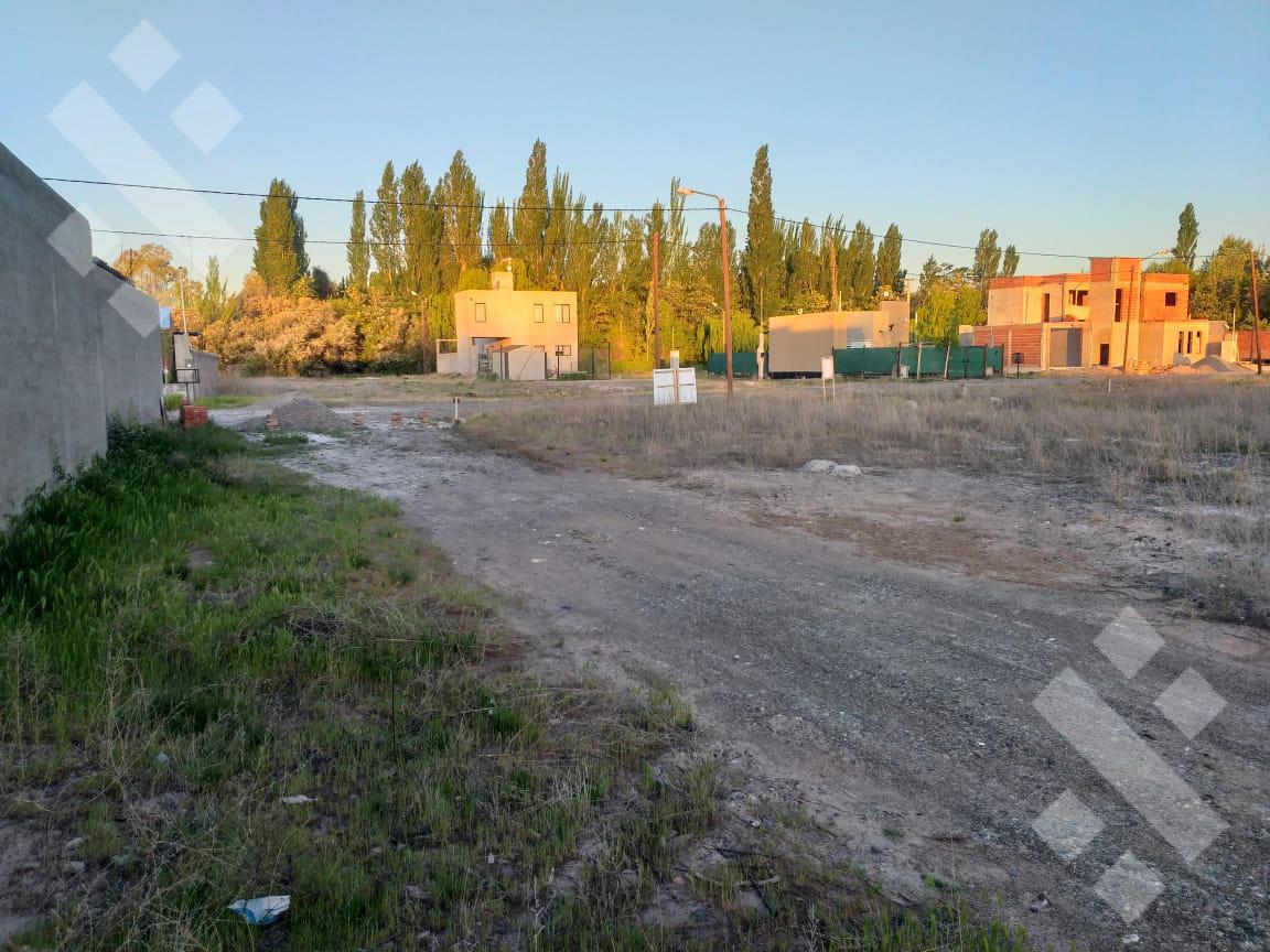 #5309192 | Venta | Lote | Colonia Valentina (Leonardo Sfeir)