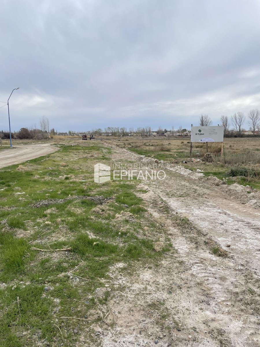 #5355154 | Sale | Lot | General Roca (Inmobiliaria Epifanio)