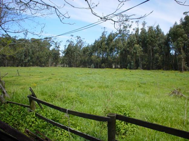 #189541 | Venta | Lote | Cañuelas (Ianchuk)