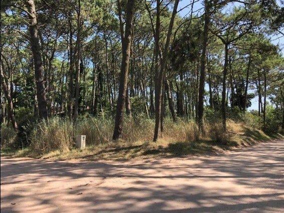 #3633379 | Venta | Lote | Carilo (Lucas garcia cordoba gestión inmobiliaria)