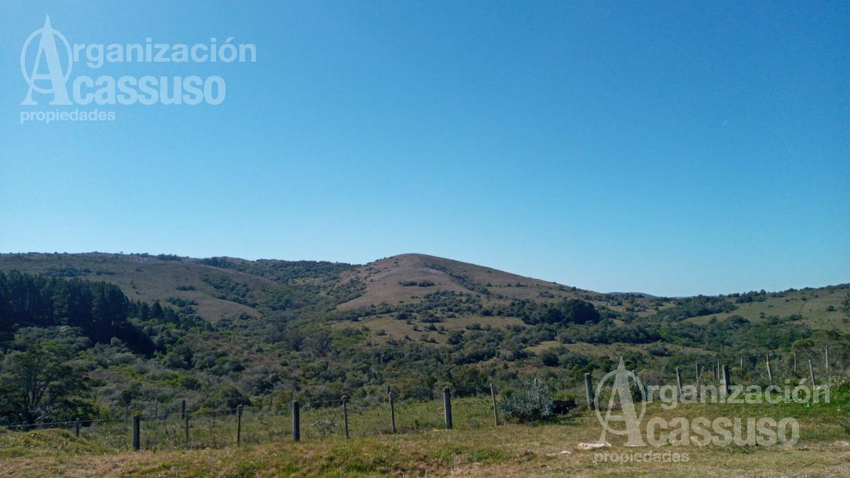 #1490038 | Venta | Campo / Chacra | Maldonado (Organización Acassuso - Casa Central)