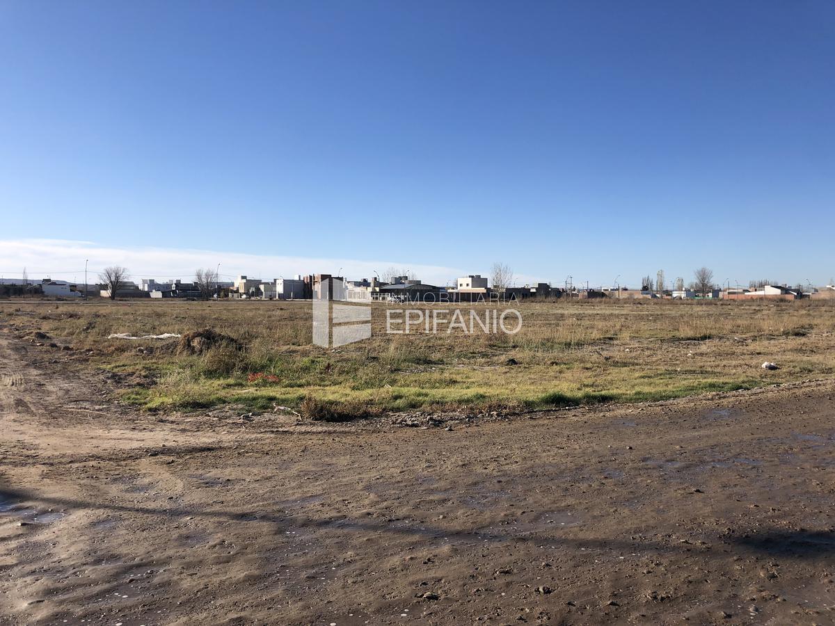 #5355179 | Venta | Lote | General Roca (Inmobiliaria Epifanio)