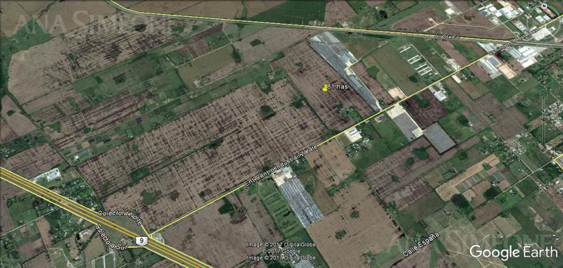 #185631 | Venta | Campo / Chacra | Zarate (Ana Simeone | Inmuebles Corporativos)