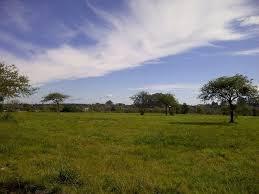 #189606 | Venta | Campo / Chacra | Canning (Ianchuk)