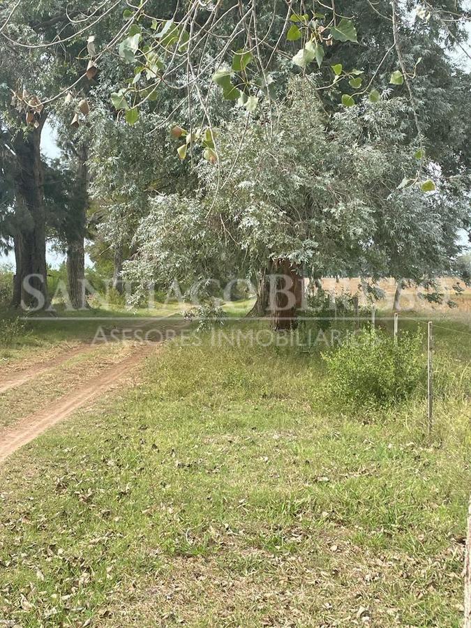 #5038666 | Sale | Farm | Campana (SB Asesores Inmobiliarios)