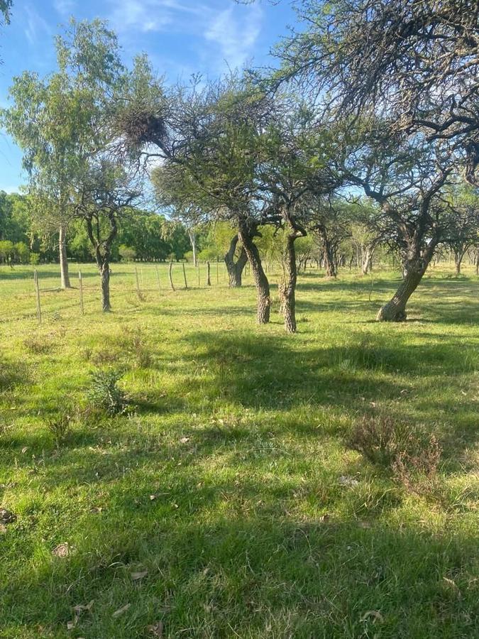 #3345692 | Sale | Country House | Gualeguaychu (Estudio Inmobiliario VERONESI)