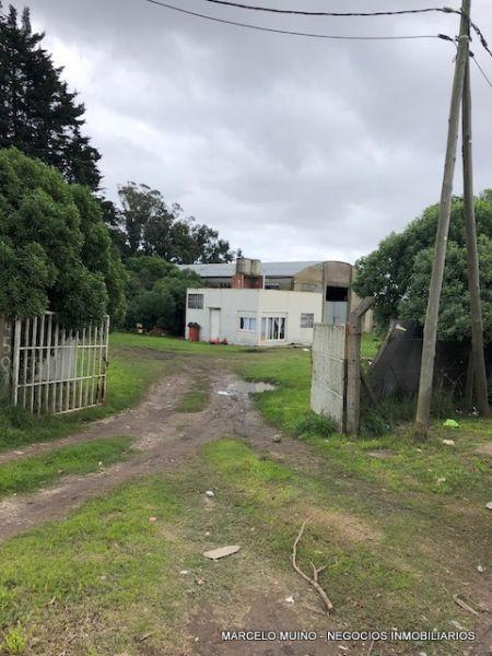 #1003449 | Venta | Galpón / Depósito / Bodega | Mar Del Plata (Marcelo Muiño Negocios Inmobiliarios)