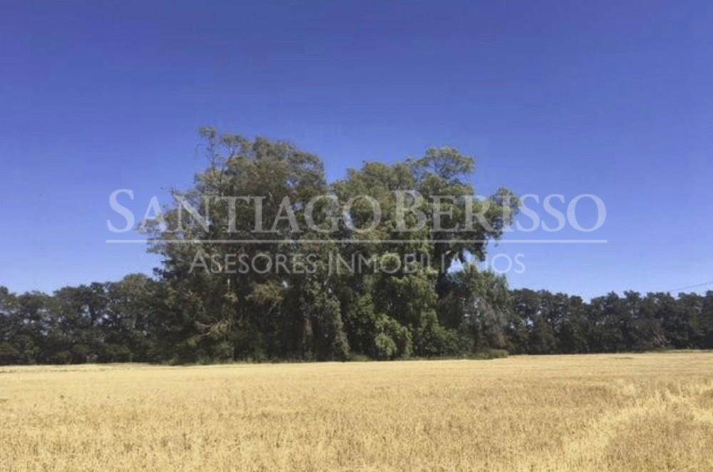 #5038654 | Sale | Farm | Lima (SB Asesores Inmobiliarios)