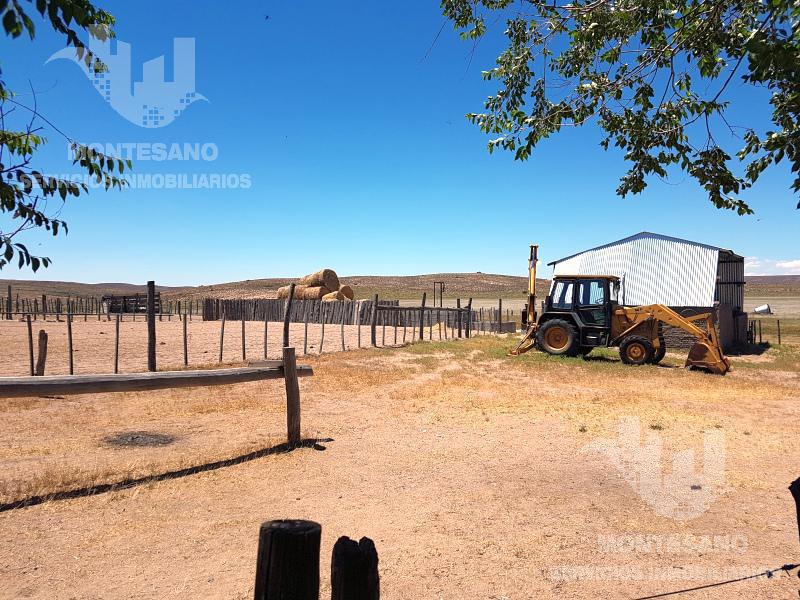 #1007724 | Venta | Campo / Chacra | Aigua (Escritorio Aiguá)