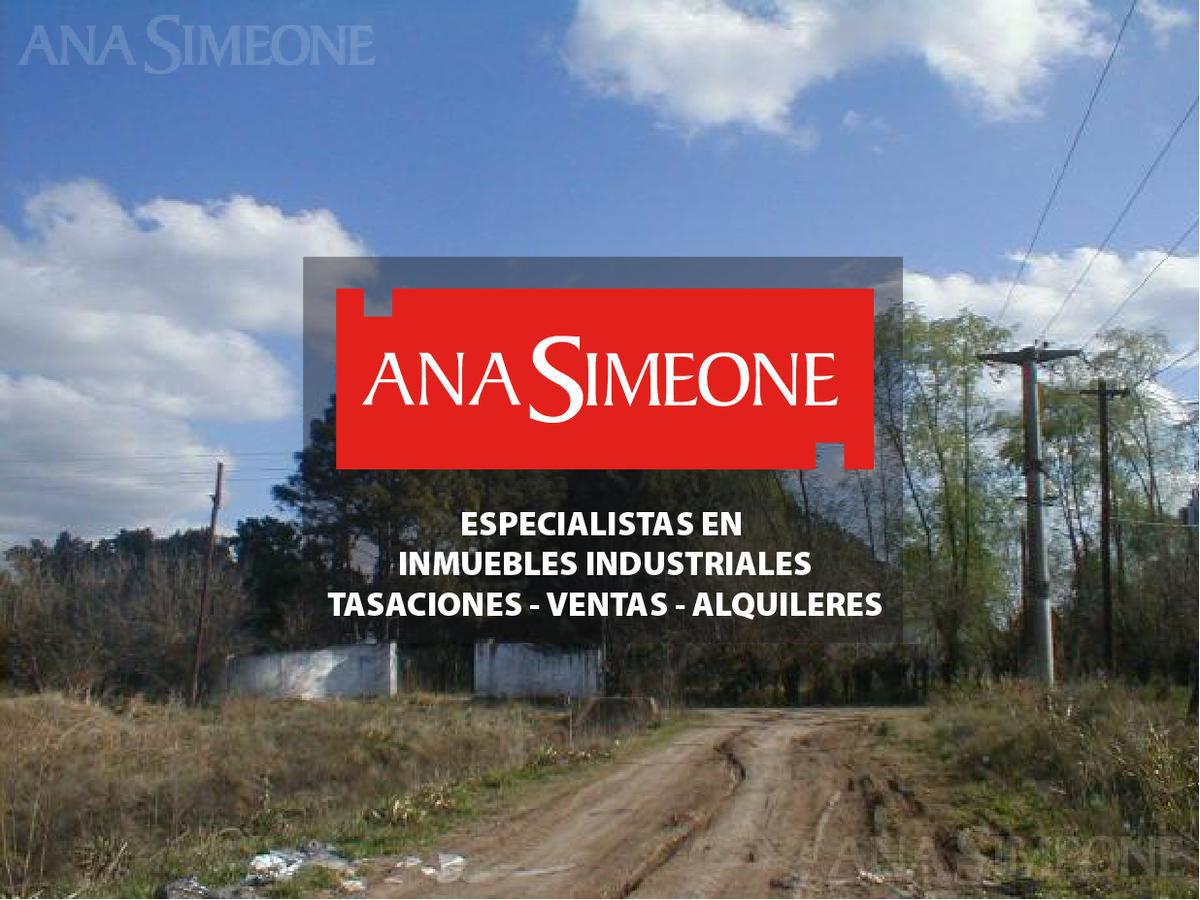 #185655 | Sale | Lot | Toro (Ana Simeone | Inmuebles Corporativos)