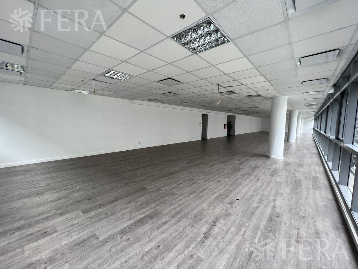 #3847755 | Rental | Office | Puerto Madero (Fera y Asociados)