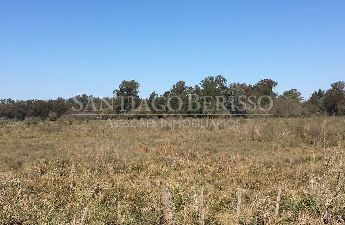 #5038661 | Venta | Campo / Chacra | Diego Gaynor (SB Asesores Inmobiliarios)