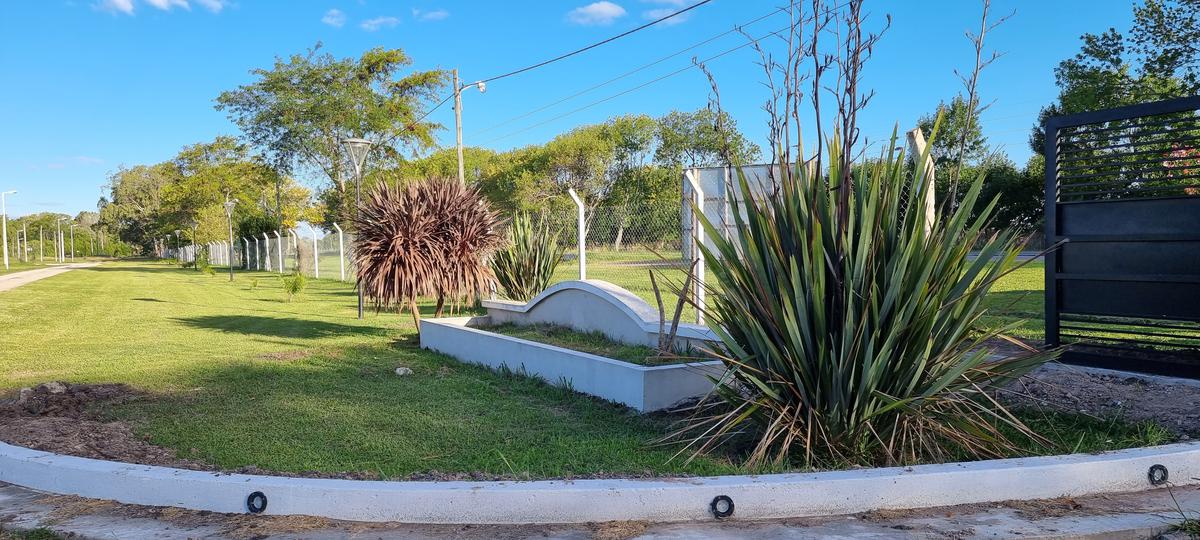 #3035185 | Venta | Lote | Villa Elvira (Fernandez Ber Propiedades)