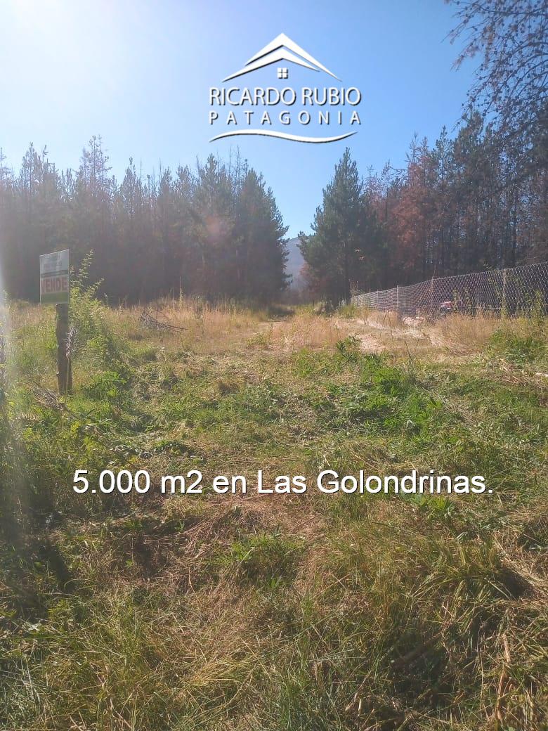 #5068161 | Venta | Lote | Las Golondrinas (Ricardo Rubio Inmobiliaria)