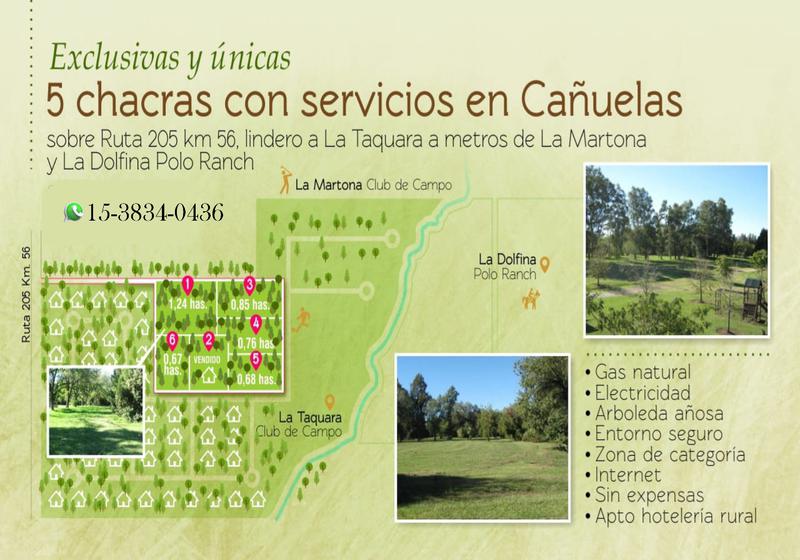 #521257 | Venta | Campo / Chacra | Cañuelas (Ianchuk)
