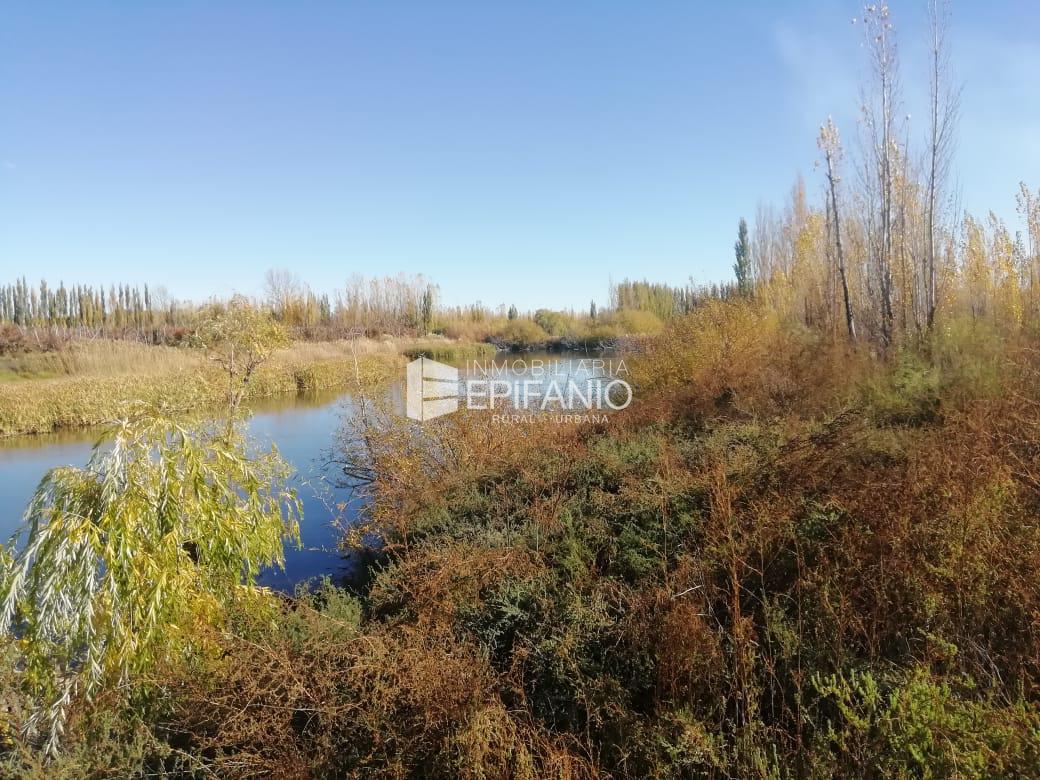 #2546624 | Venta | Campo / Chacra | General Roca (Inmobiliaria Epifanio)