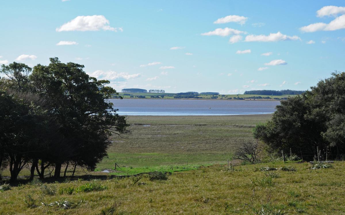 #2667408 | Venta | Campo / Chacra | Faro José Ignacio (Terramar)