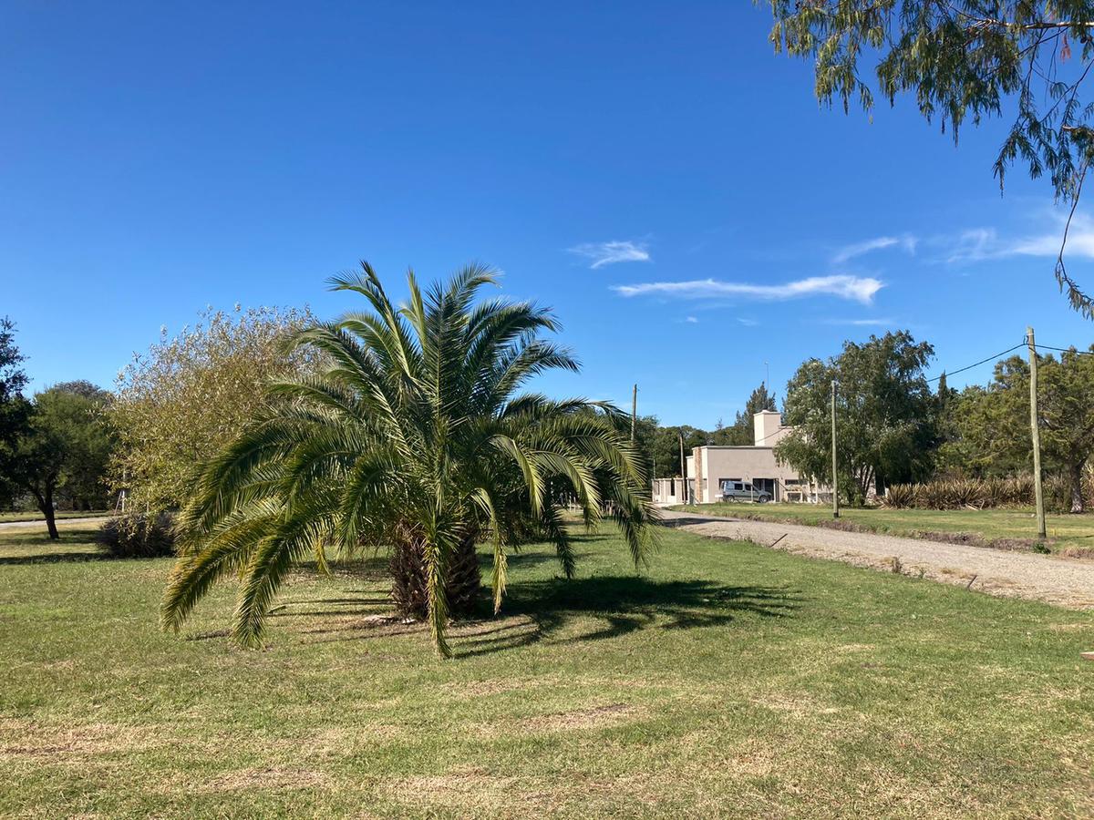 #4666374 | Venta | Lote | Joaquin Gorina (Inmobiliaria Francesconi)