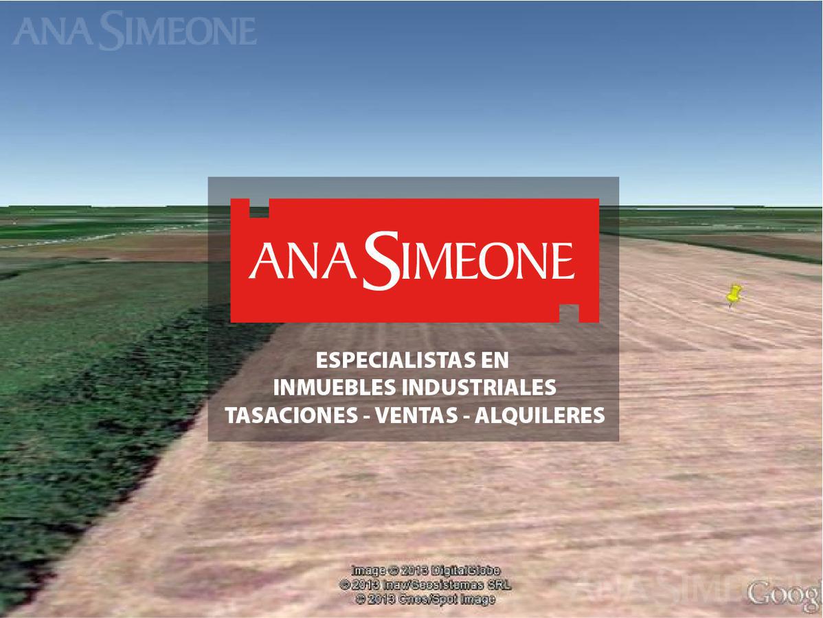 #185832 | Venta | Lote | San Nicolas De Los Arroyos (Ana Simeone | Inmuebles Corporativos)