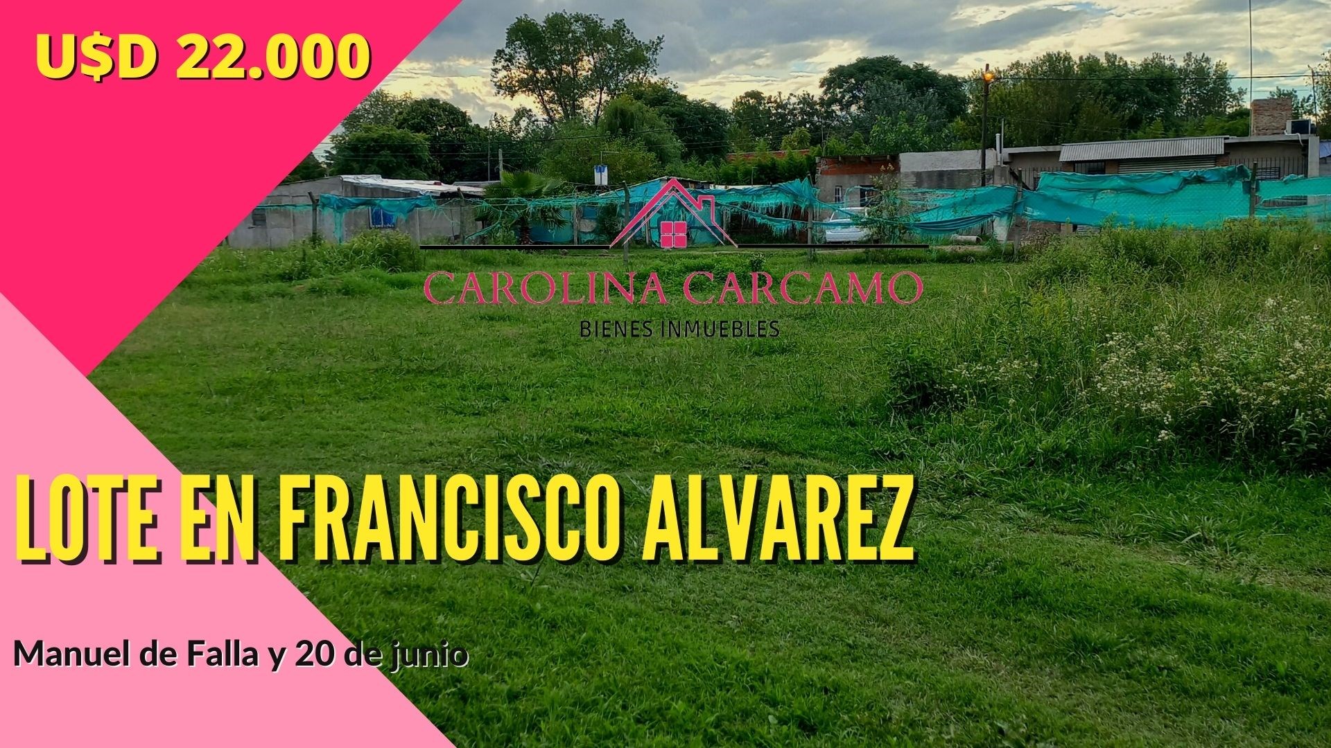 #2574534 | Sale | Lot | Francisco Alvarez (Carolina Carcamo)