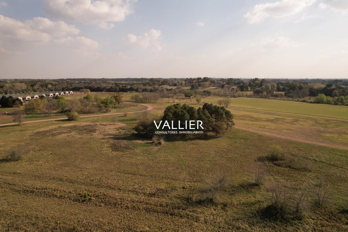 #5245418 | Venta | Lote | Pilara (Vallier)