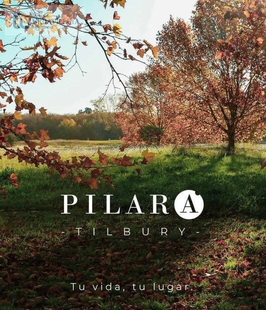 #5385079 | Sale | Lot | Pilara (Vallier)