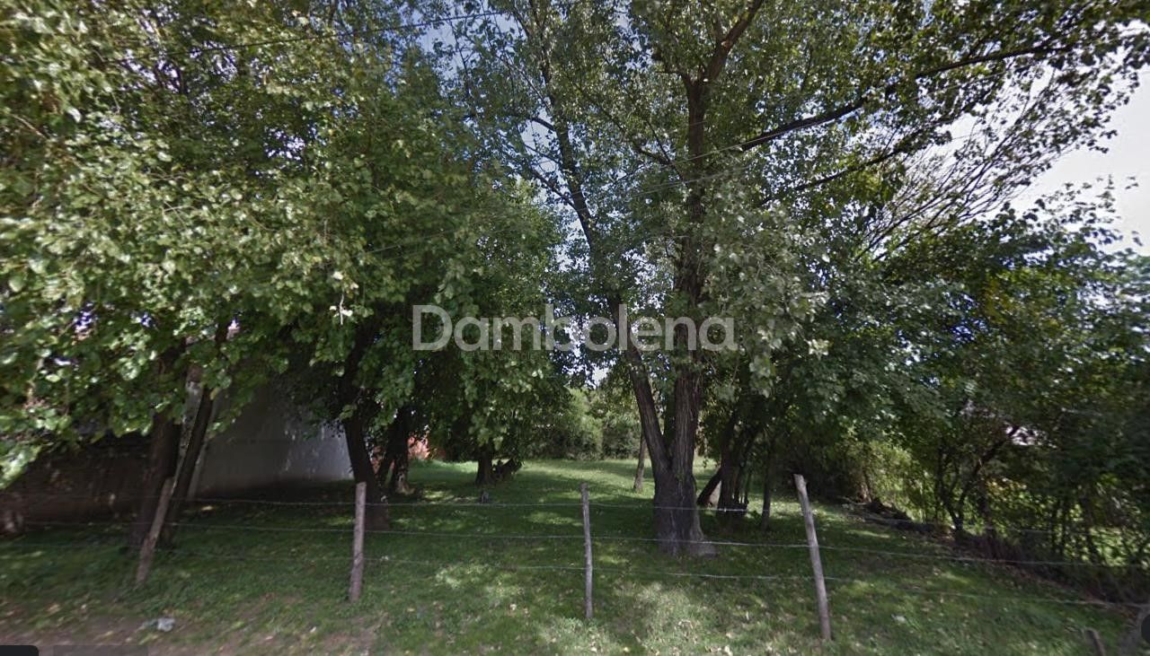 #1764731 | Venta | Lote | Moreno (Dambolena)