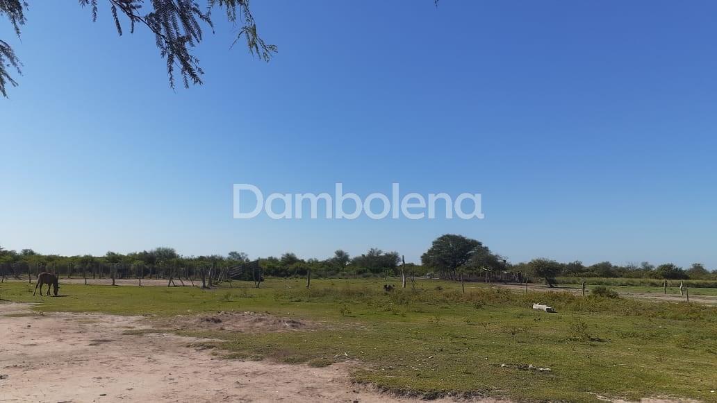 #1765167 | Venta | Lote | Villa Union (Dambolena)