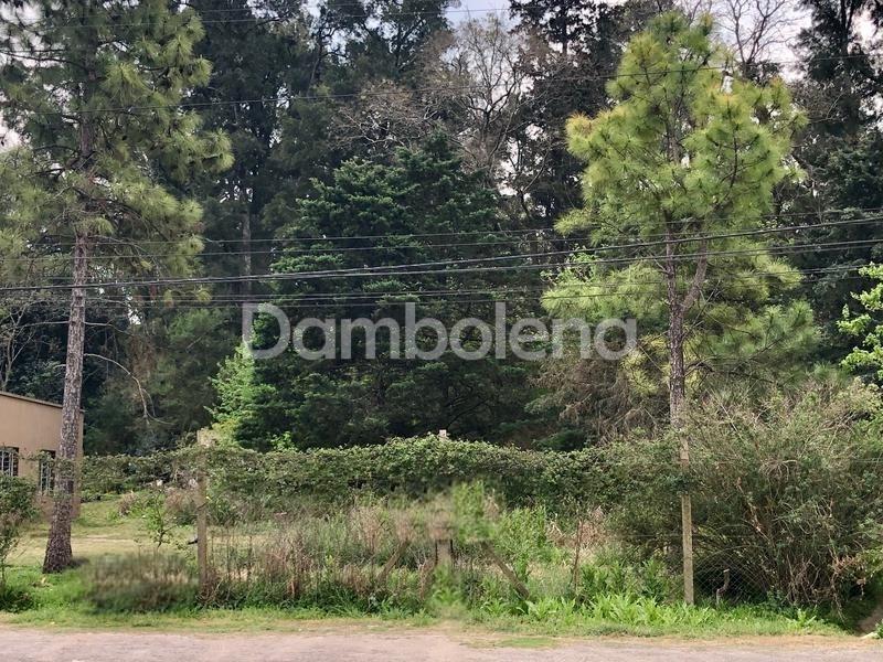 #2107685 | Venta | Lote | Argentina (Dambolena)