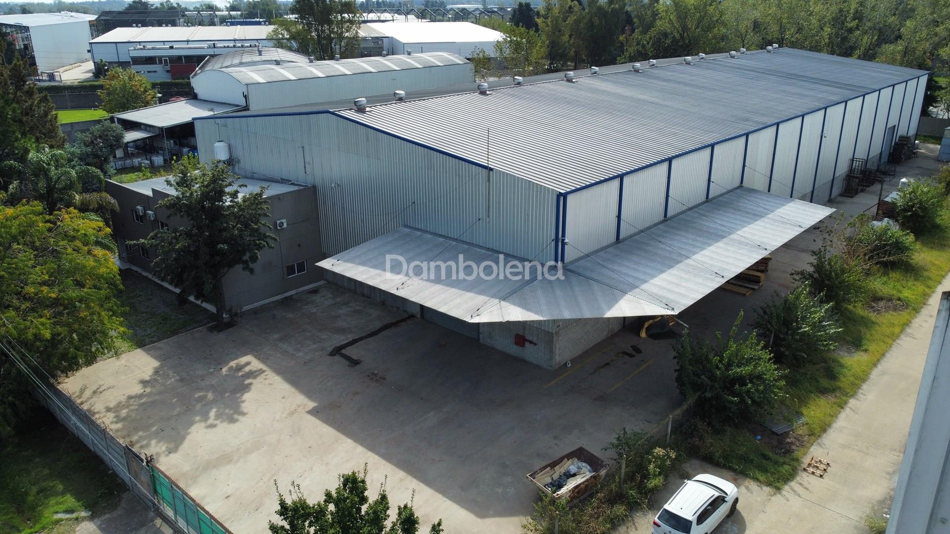 #5039612 | Rental | Warehouse | La Reja (Dambolena)
