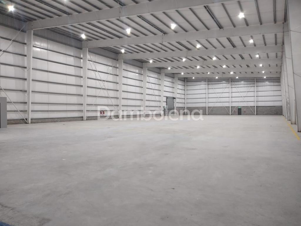 #5403545 | Rental | Warehouse | General Rodriguez (Dambolena)