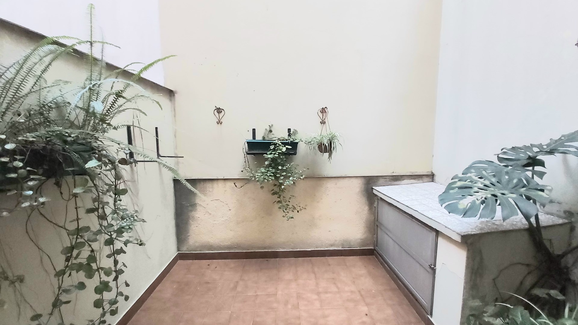 #5326536 | Venta | Departamento | Balvanera (Luis De Blas )