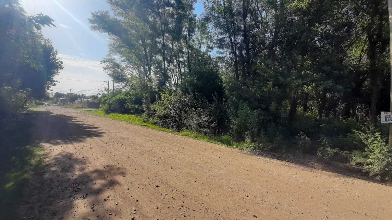 #5481518 | Venta | Lote | Argentina (Gregori Bienes Raices)