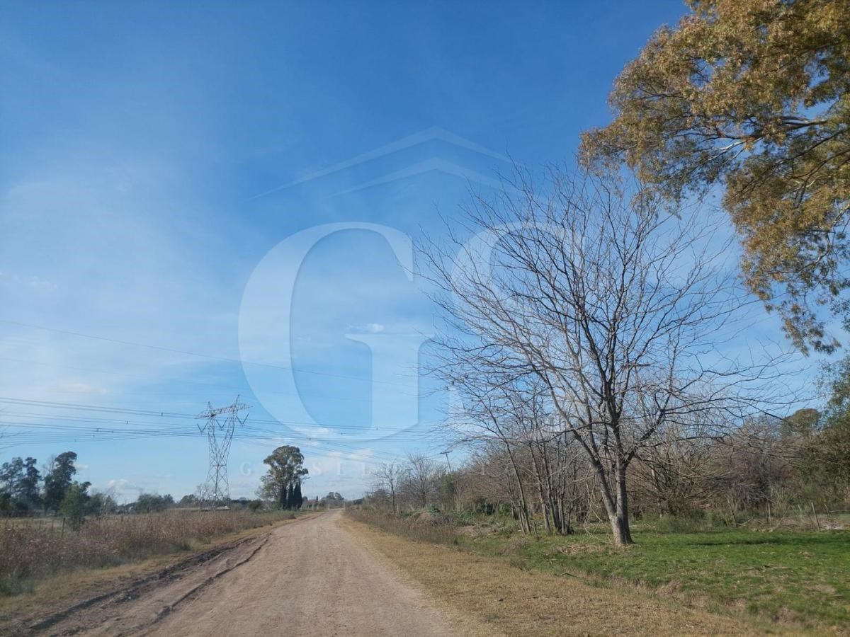 #4558987 | Sale | Lot | Amancay (Fatima) (Griselda Segura Negocios Inmobiliarios)