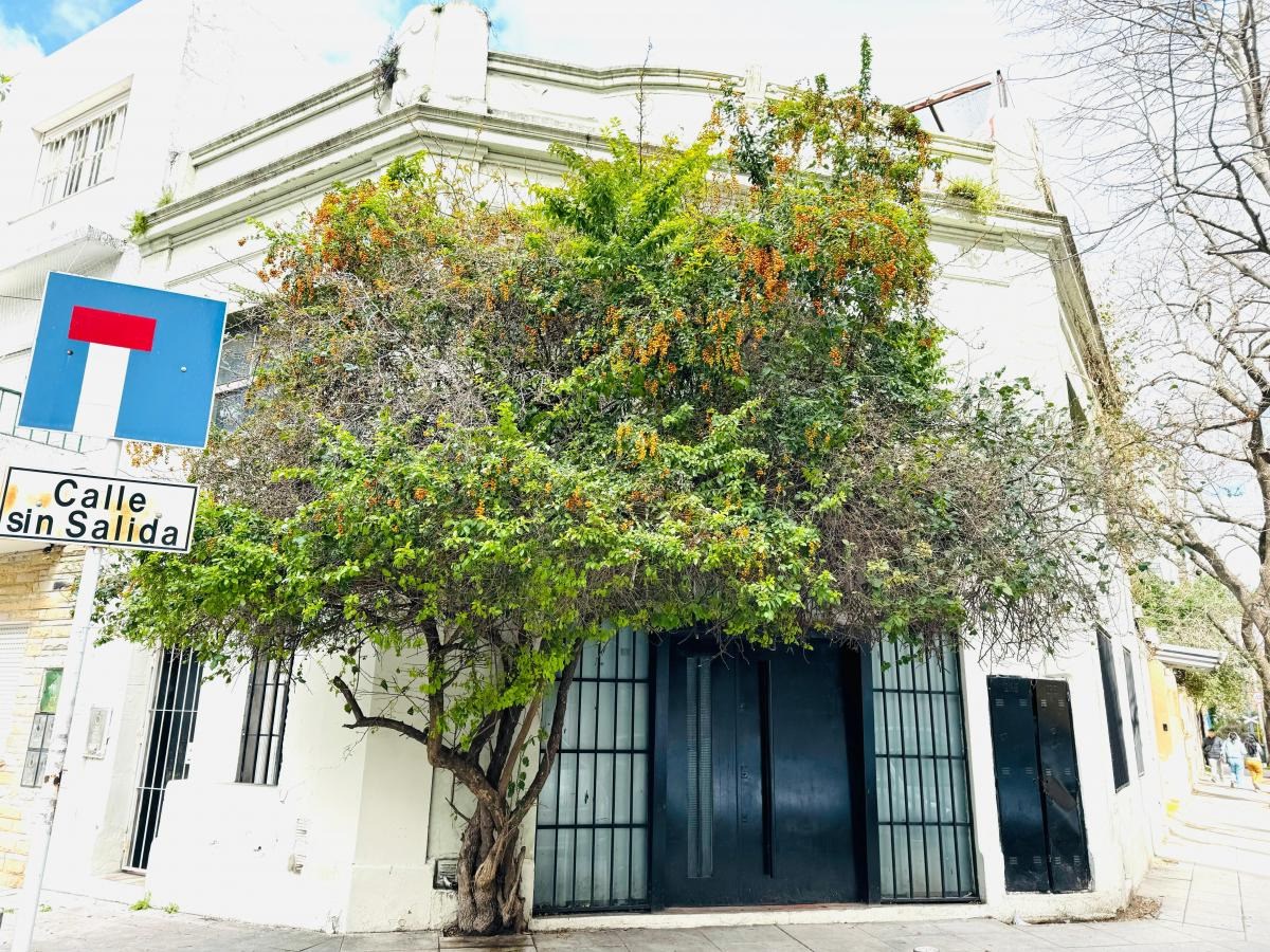 #5372123 | Venta | Lote | Palermo Soho (Kondratenko Servicios Inmobiliarios)