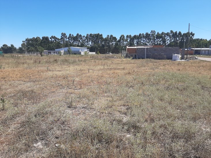 #2072255 | Venta | Lote | Coronel Suarez (INMOBILIARIA Y DISEÑO DEL PAISAJE)