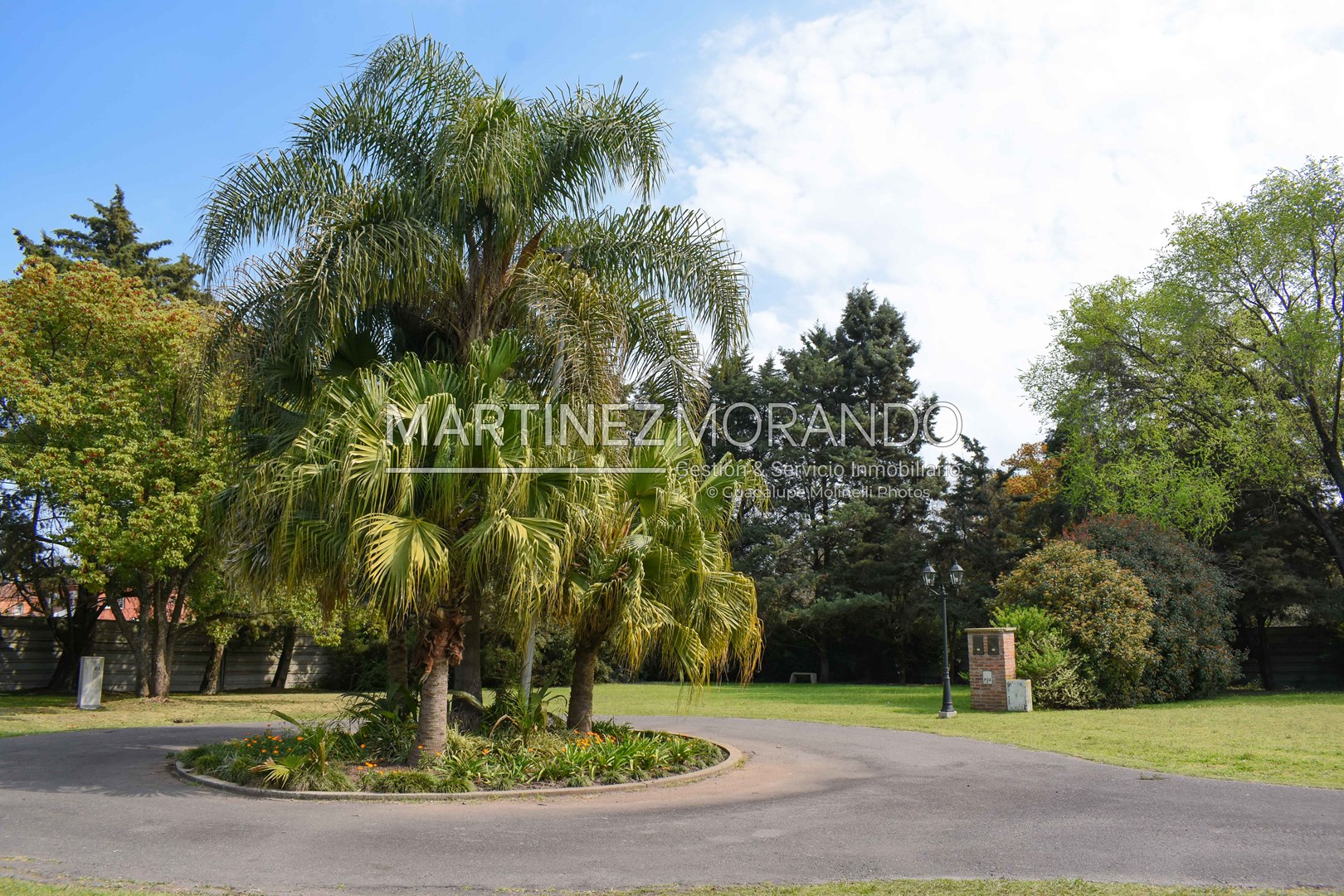 #3101659 | Venta | Lote | La Otilia (Martinez Morando)