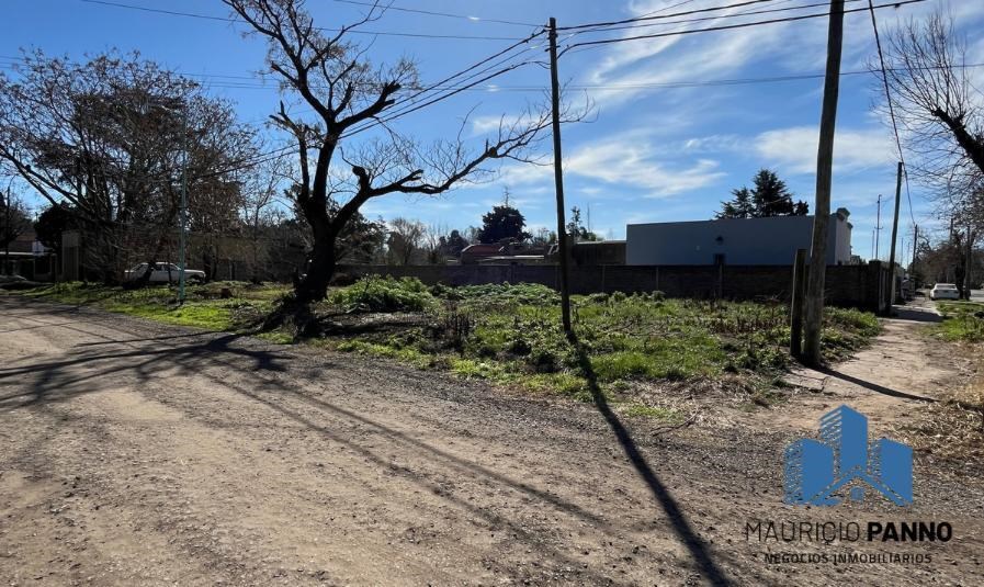 #5357414 | Venta | Lote | Capitan Sarmiento (Mauricio Panno Negocios Inmobiliarios)