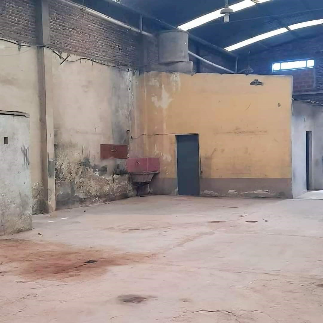 #5350668 | Sale | Warehouse | Villa Dominico (Nora M. Persini Negocios Inmbolibilarios)