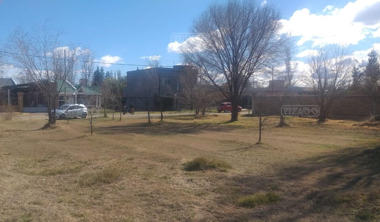 #5471051 | Venta | Lote | Plottier (Tizado)