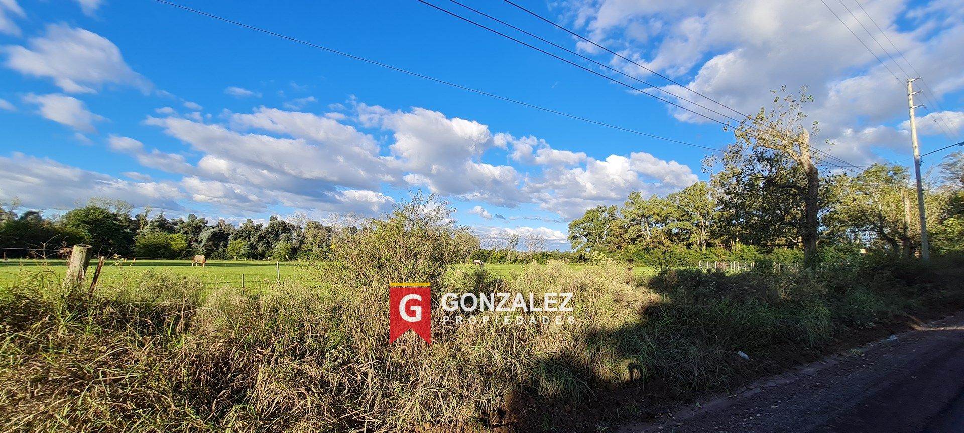 #5475270 | Venta | Lote | Manzanares (Gonzalez Propiedades)