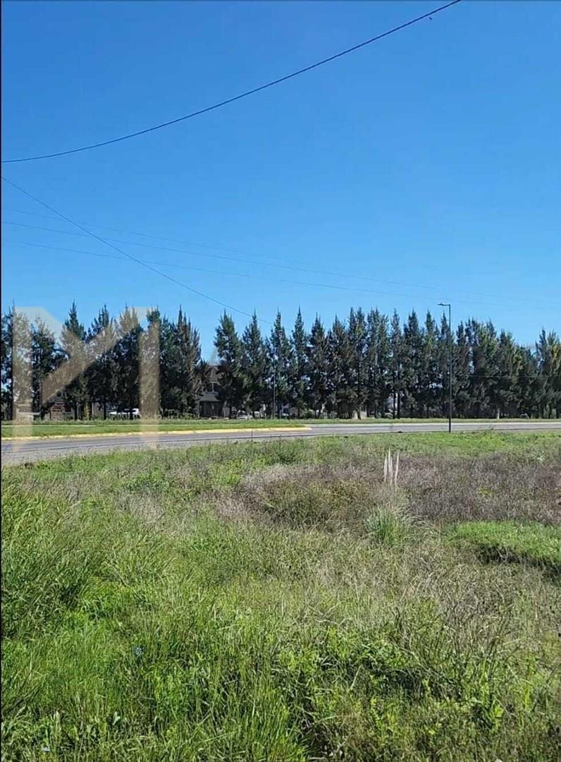 #5356999 | Venta | Lote | Argentina (Paula Mendez Negocios Inmobiliarios)