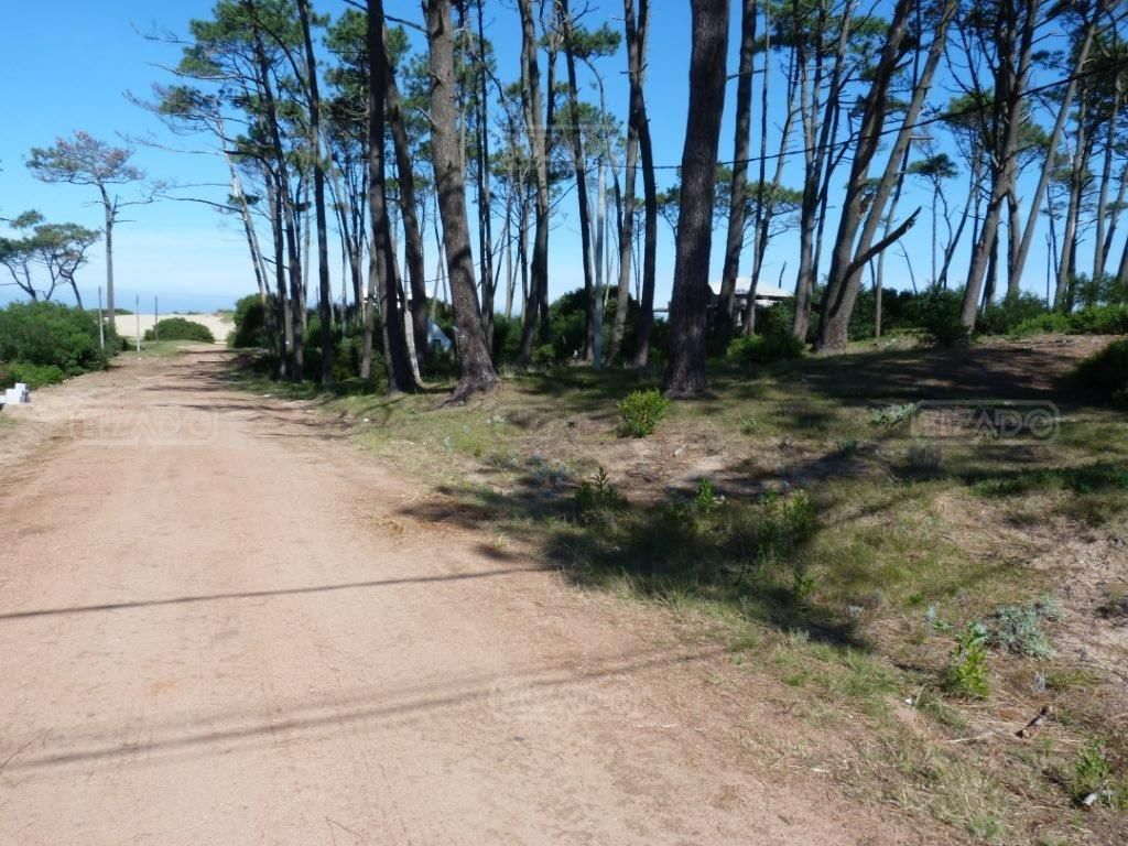 #1668802 | Venta | Lote | Punta del Este (Tizado)