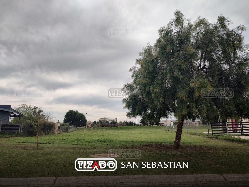 #5471154 | Venta | Lote | Área 2 (Tizado)